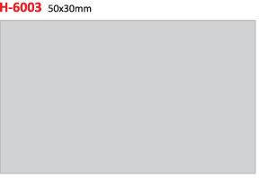 H-6003-x